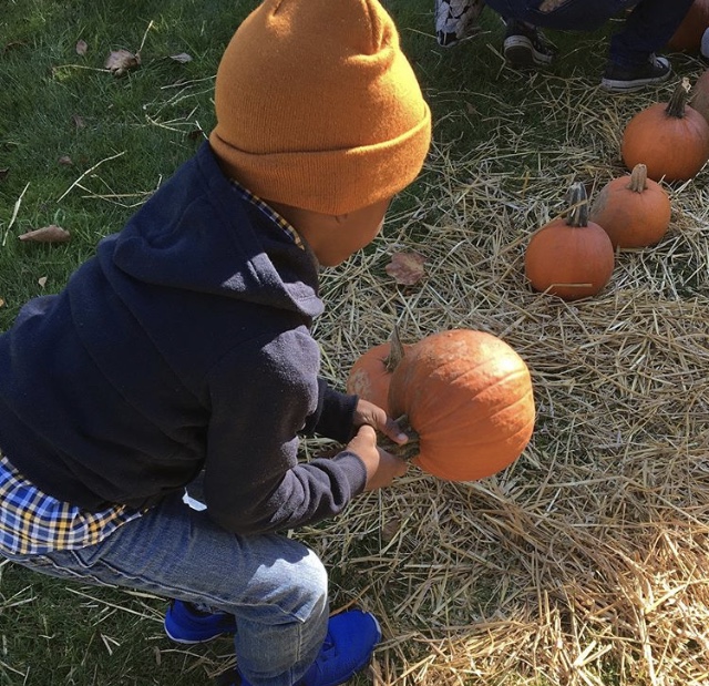 2F2AA719-E1B1-426E-94A8-A9A94E68FA16