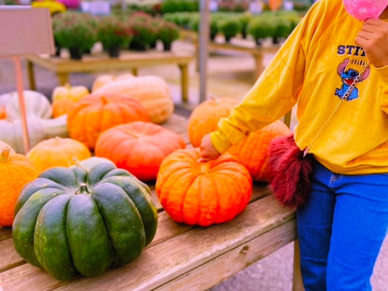 20 Fall Activities For The&nbsp;Family